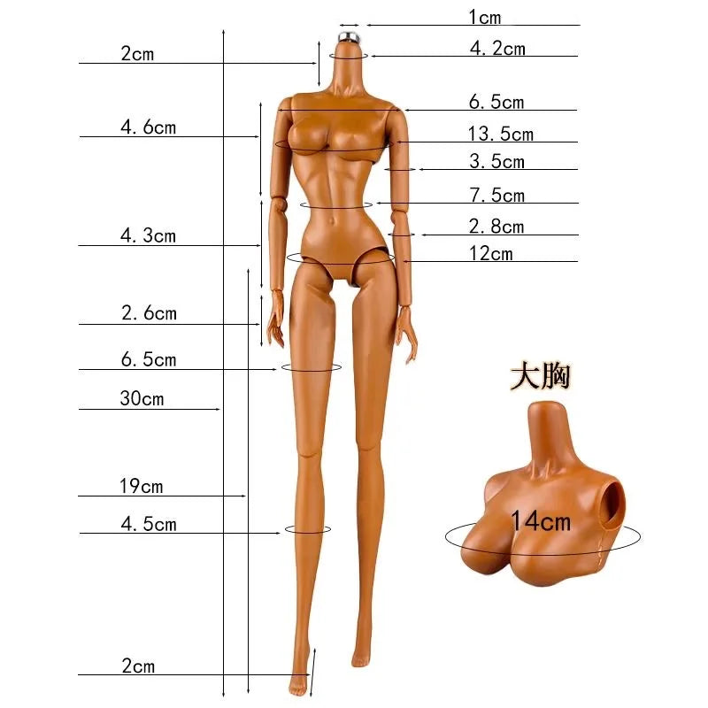 NEW LULY/Supermodel Doll Body Toy 12 Skin Tones High Quality With Replacement Big Boobs 1/6 Body Parts Removable For Babi Doll