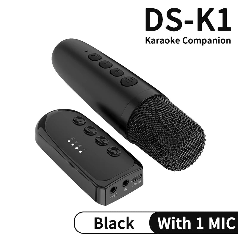Wireless Car Microphone With Receiver Karaoke Companion 3.5MM AUX Stereo HIFI RGB Colorful Light Multi Sound Effect Mixer System