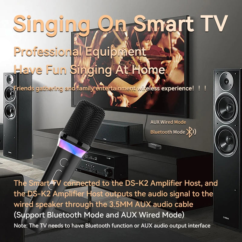 Wireless Car Microphone With Receiver Karaoke Companion 3.5MM AUX Stereo HIFI RGB Colorful Light Multi Sound Effect Mixer System