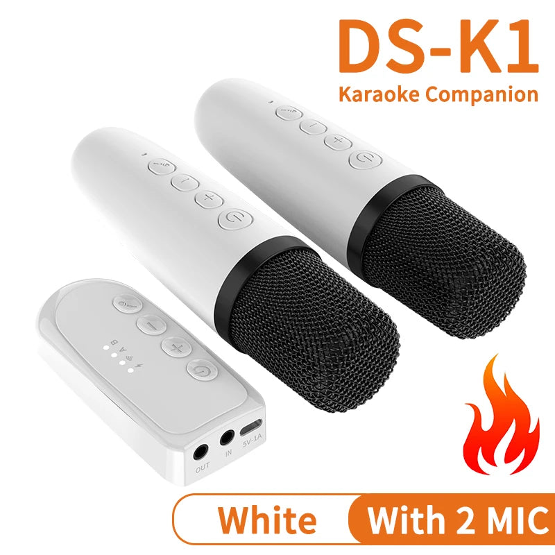 Wireless Car Microphone With Receiver Karaoke Companion 3.5MM AUX Stereo HIFI RGB Colorful Light Multi Sound Effect Mixer System