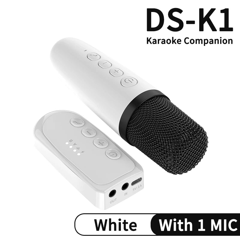 Wireless Car Microphone With Receiver Karaoke Companion 3.5MM AUX Stereo HIFI RGB Colorful Light Multi Sound Effect Mixer System